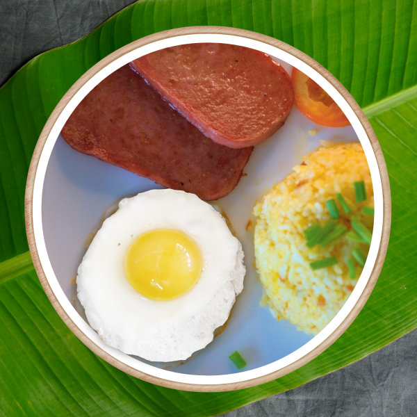 Spamsilog